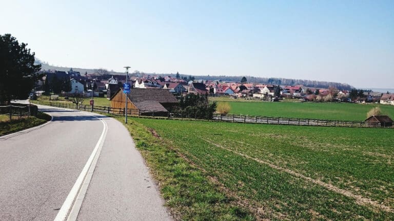 Systemy utrzymania trzody chlewnej – intensywny vs. ekstensywny chów